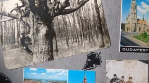 ЮГВ  1977 - 1979 Венгрия.