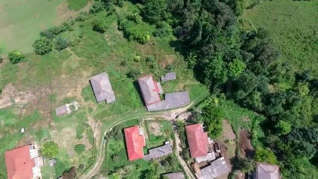 Зильдик обзор #зильдик#обзор смотреть онлайн