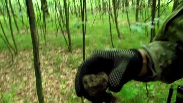 Лесной КОП!!!!!!!!!!!!Возле Монастыря! Межсезонье 2017! смотреть онлайн