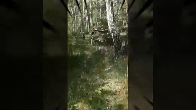 Обское водохранилище смотреть онлайн