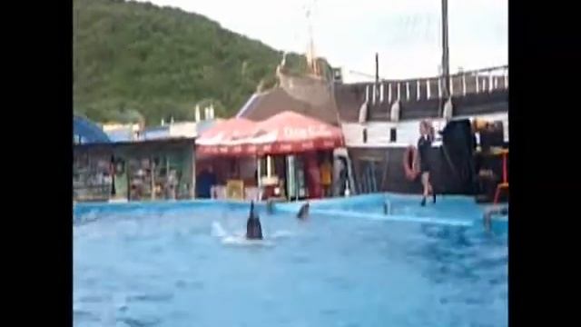 Архипо-Осиповский дельфинарий смотреть онлайн