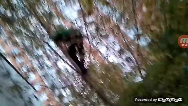 #58 мой друг хотел спрыгнуть с крыши но чёт передумал смотреть онлайн