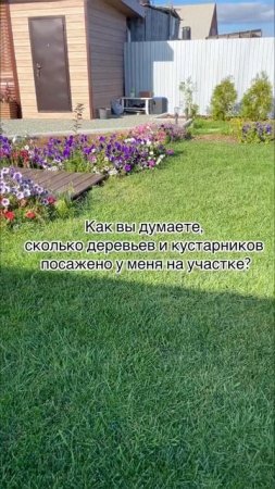 А вы свои считаете?