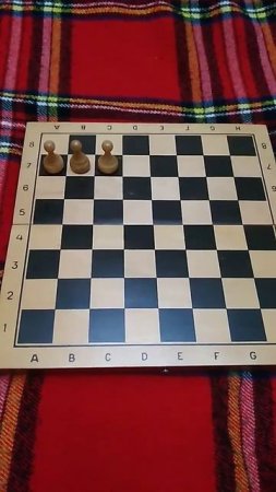 Расставьте фигуры и поставьте мат в 2 хода. #шахматы #chess24 #shorts