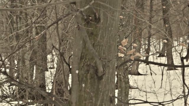 Поход на выживание 72 часа | 2 часть смотреть онлайн