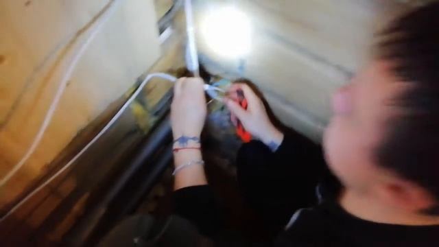 День электрика