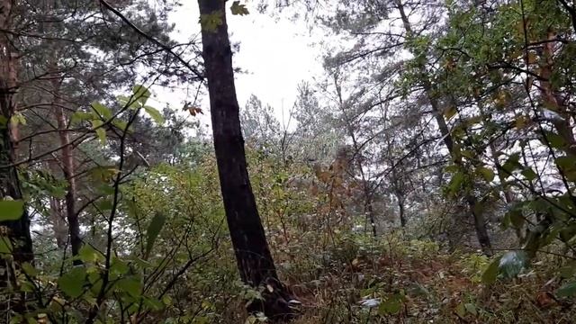 Укрылась от Дождя под Тентом- Пончо от Turbat....😉👍 смотреть онлайн