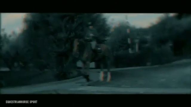 Конный спорт смотреть онлайн