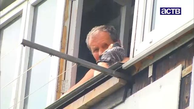 После замены сетей на ул. Тихоокеанской разорившийся подрядчик оставил после себя разрушенные дворы смотреть онлайн