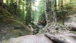 Никитинский водопад и обзорная