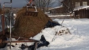 Грейферный погрузчик в работе. Грузит сено.