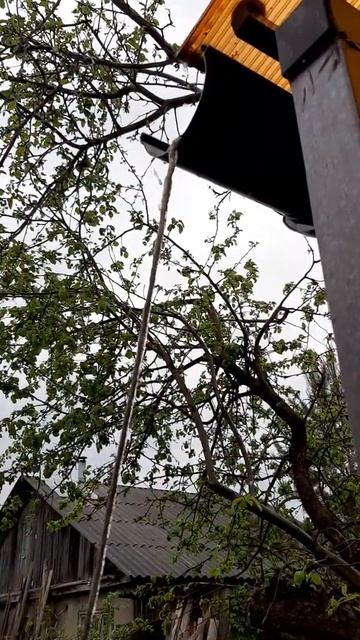 сбор дождевой воды смотреть онлайн