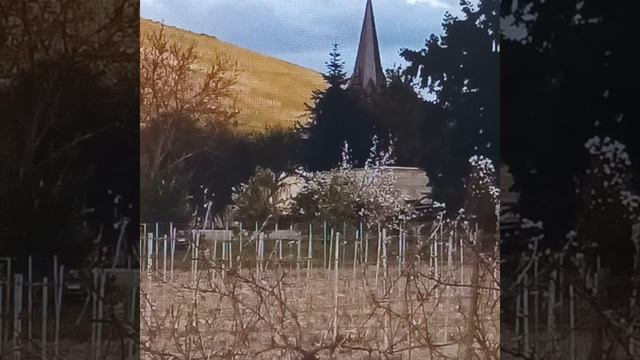 Новелла Счастливый день туриста Владимир Де Ланге смотреть онлайн