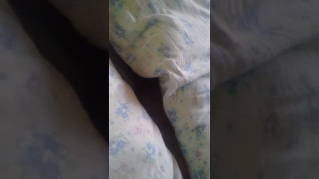 Дом из одеяла смотреть онлайн