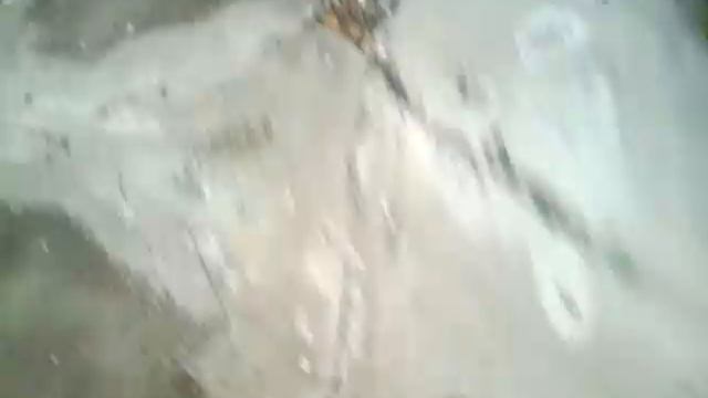 Всё-таки попали на ФОК смотреть онлайн