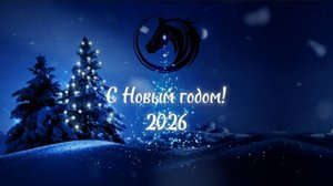 РОЖДЕННЫЕ В 2026-М: столпы ума, воли и цели. Отчужденные и основательные лидеры.Прогноз А.РОЖИНЦЕВА