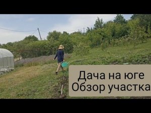 ОБЗОР УЧАСТКА 18 СОТОК/ЗАПУСТИЛА ОГОРОД/ДЕЛА НА ДАЧЕ/ огород многодетной мамы