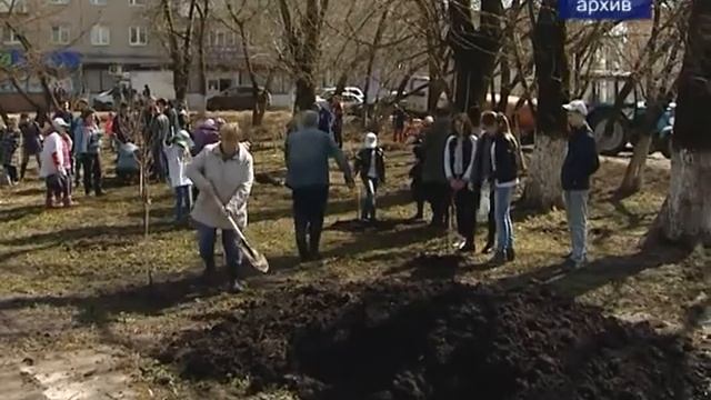 Акция «Лес Победы» пройдет 12 мая по всему Подмосковью смотреть онлайн