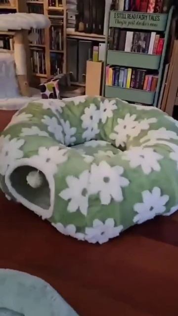 Разгон частиц в котонном коллайдере