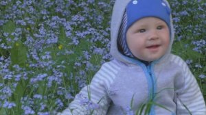 А я хочу а я хочу опять по крышам бегать голубей гонять