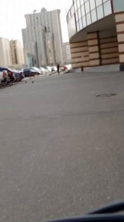 точка курьеров