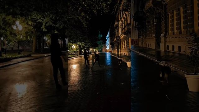 Одесса. Приморский бульвар. Гостиница «Лондонская». Ночь. Дождь. смотреть онлайн