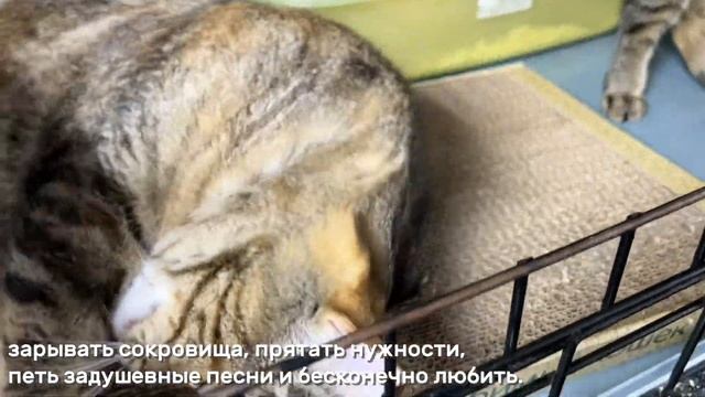 ГЕРМИЯ смотреть онлайн