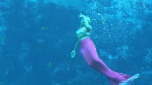 Weeki Wachee Springs  Флорида: подводное шоу русалок. Америка