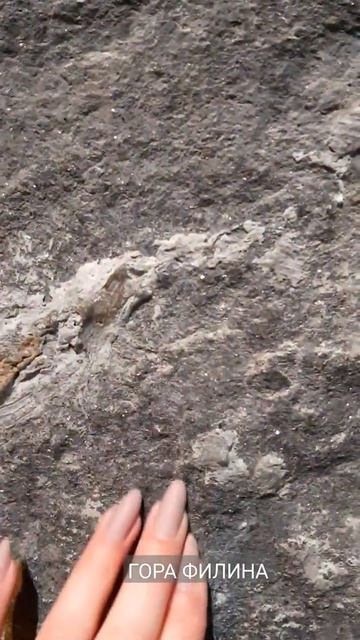 ЛАХДЕНПОХЬЯ ГОРА ФИЛИНА КАРЕЛИЯ ЛЕНИНГРАДСКАЯ ОБЛАСТЬ смотреть онлайн