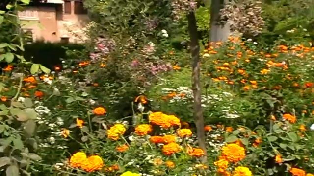 Альгамбра смотреть онлайн