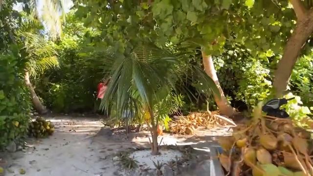 Активные Мальдивы ноябрь 2021 С Клубом путешественников YourOwnAdventure