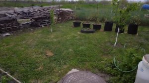 Наводим порядок. Жара и метель.