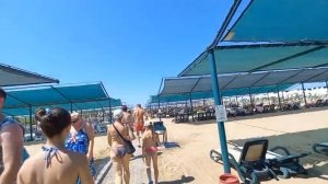 Возвращение в Seher Sun Palace 2024