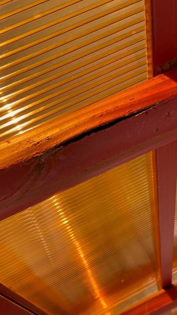 Строю сам #ая #юрыч #shots смотреть онлайн