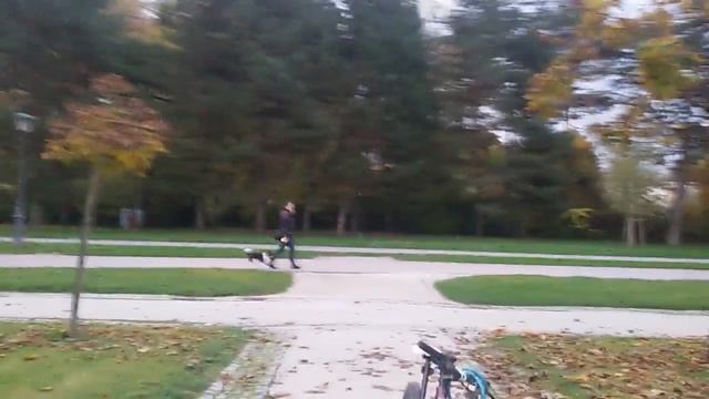 Словения#любляна#парк#тиволи#tivoli#centar#смотретьвсем#красиво#подписывайтесь#интересно#природа# смотреть онлайн