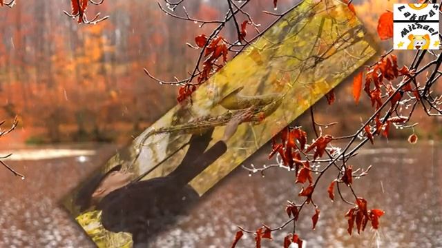 Кузьмин - Когда Меня Ты Позовешь cover Mishael Lakmus смотреть онлайн