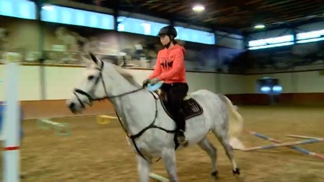 Вести конного спорта 133 от 14 01 19 О работе лошадей смотреть онлайн