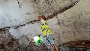 Усадьба Святских "Старая Белица", д. Пламя, Сенненский район, Витебская область