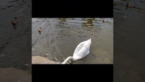 Ежегодное путешествие в Малинки-парк 🦩🦚🦜🐒🐿️🦡(г.Шахты Ростовской области)