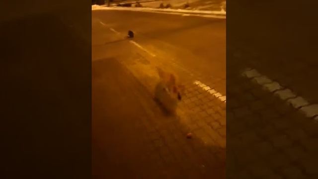 Попрошайки на границе Мамоново - Граново. смотреть онлайн