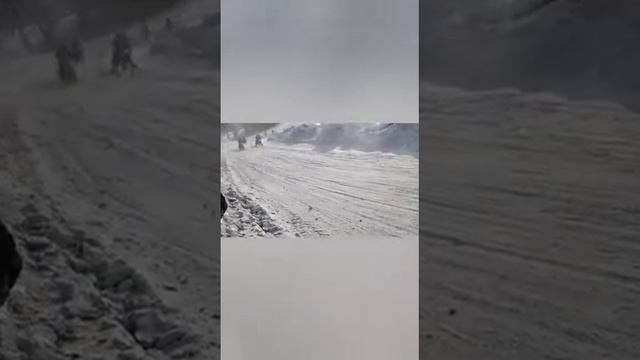 скийоринг.г.Бийск (11.02.23)