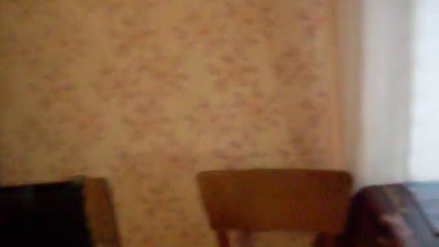 Жилой домик с пирамидальной крышей и печка к газобето?