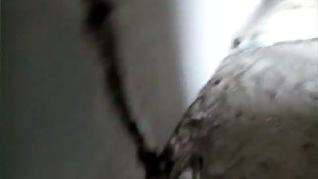 Недостроеная гостиница(оператор:Андрей) смотреть онлайн