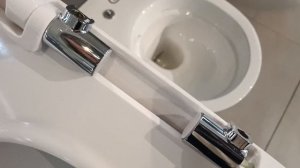 How to remove a Geberit toilet seat