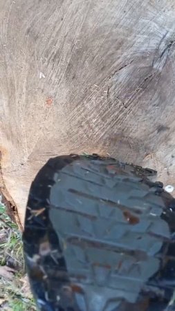 22.04.2025 г. ВТ_Сегодня утро ОФП и СФУ_чудесная пешая прогулка по утреннему Удельному парку