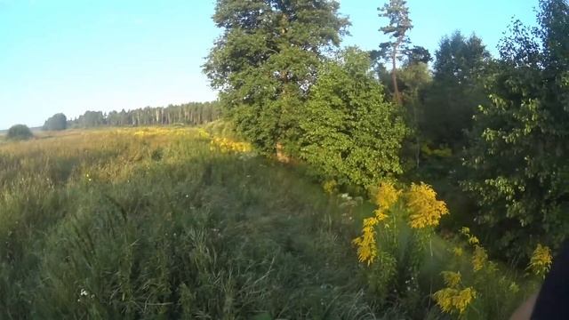 Охота на утку осень 2023. Пять патронов 3  дичи.#охотанаутку#утки#дичь#охота#утканаканаве#осень