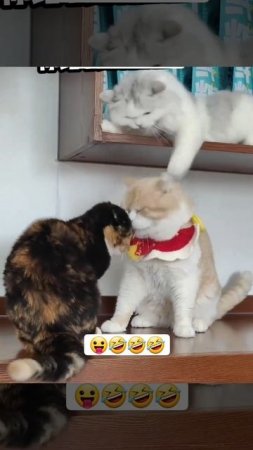 1000014675.mp4