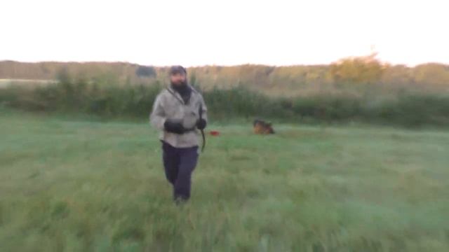Утренняя, ежедневная дрессировка двух собак Сергеем Пупковым – кинологом.  09. 08.  2018
