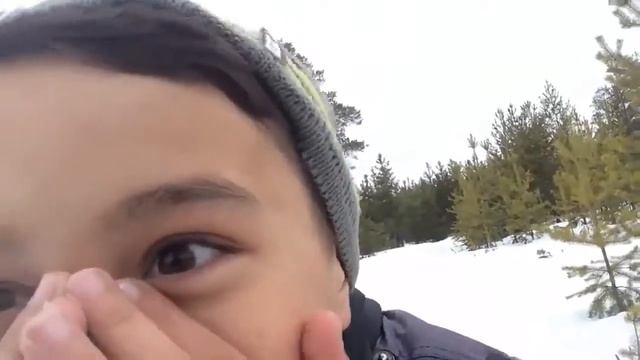 влог п. Пурпе лес смотреть онлайн