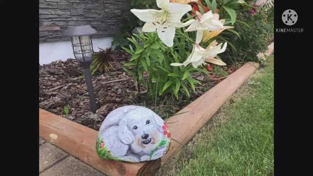 Painting on the rock, dog смотреть онлайн